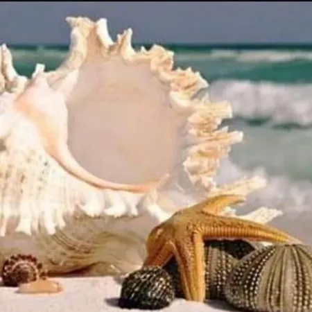 Residenza N&d Luxury Apartmán